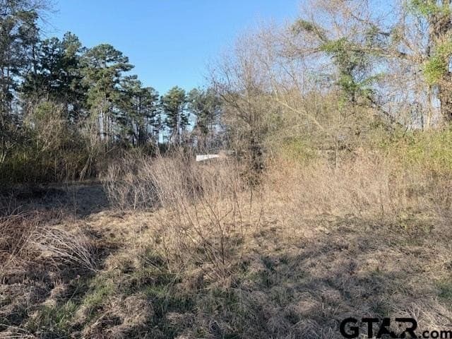 5.7 acres in Smith County - photo 13