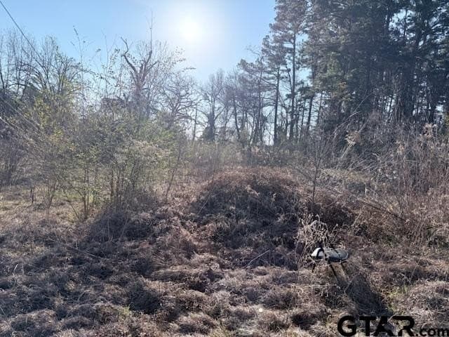 5.7 acres in Smith County - photo 6
