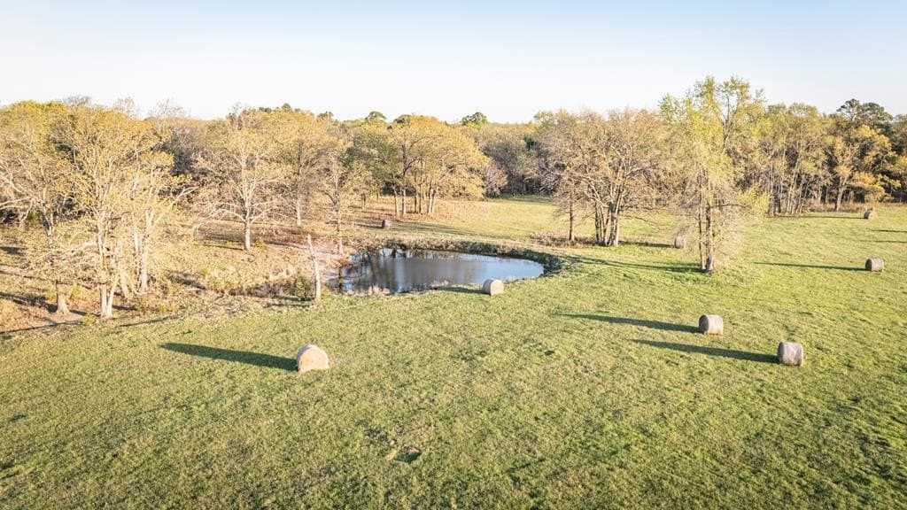 56.56 acres in Henderson County - photo 14