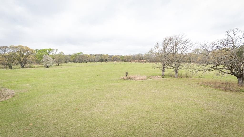 56.56 acres in Henderson County - photo 9