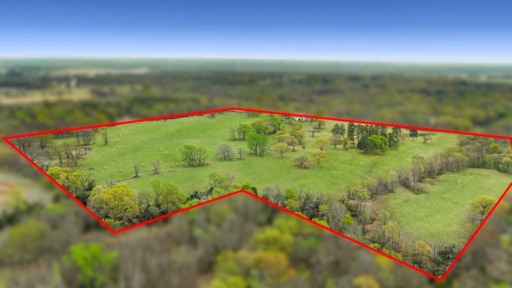 56.56 acres in Henderson County - photo 6