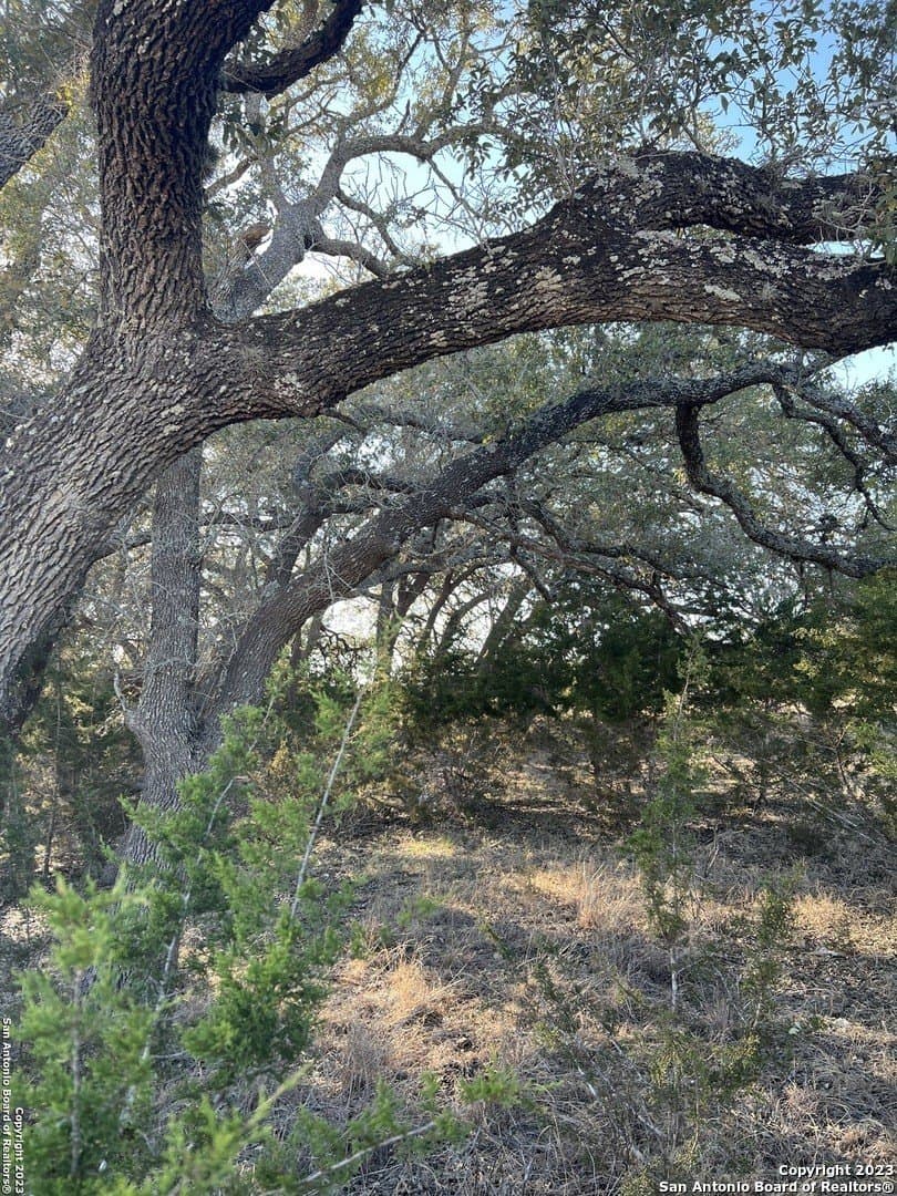 2.78 acres in Bandera County - photo 2