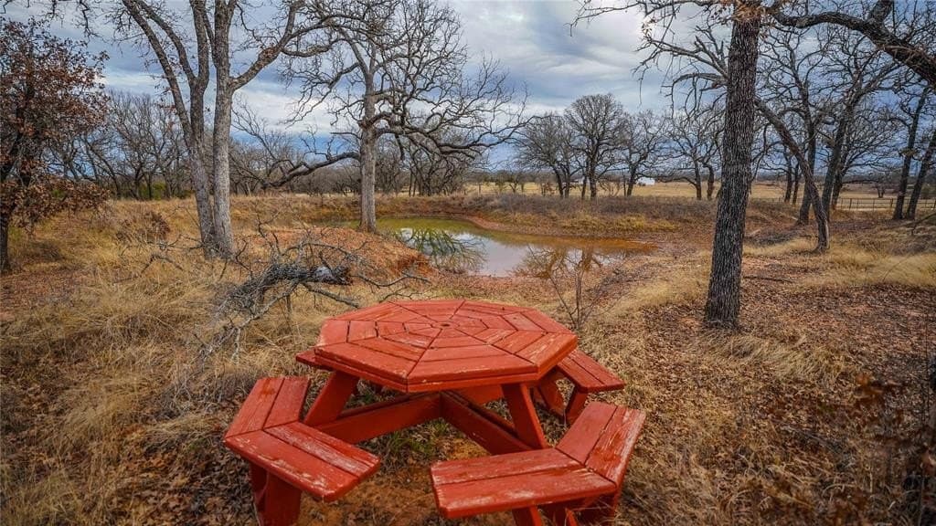 40 acres in Erath County - photo 5