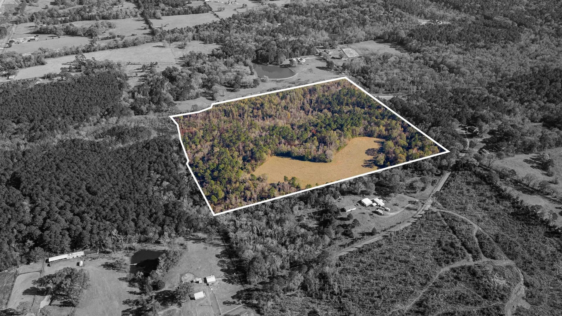 51.3 acres in Harrison County - photo 21