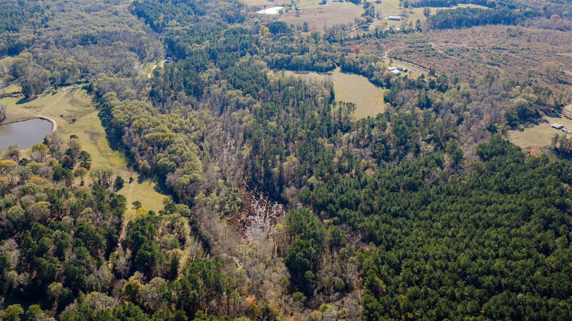 51.3 acres in Harrison County - photo 17
