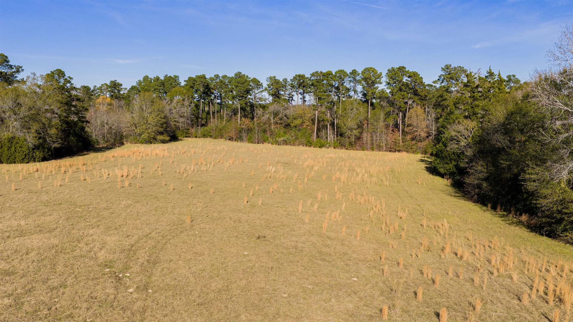 51.3 acres in Harrison County - photo 15