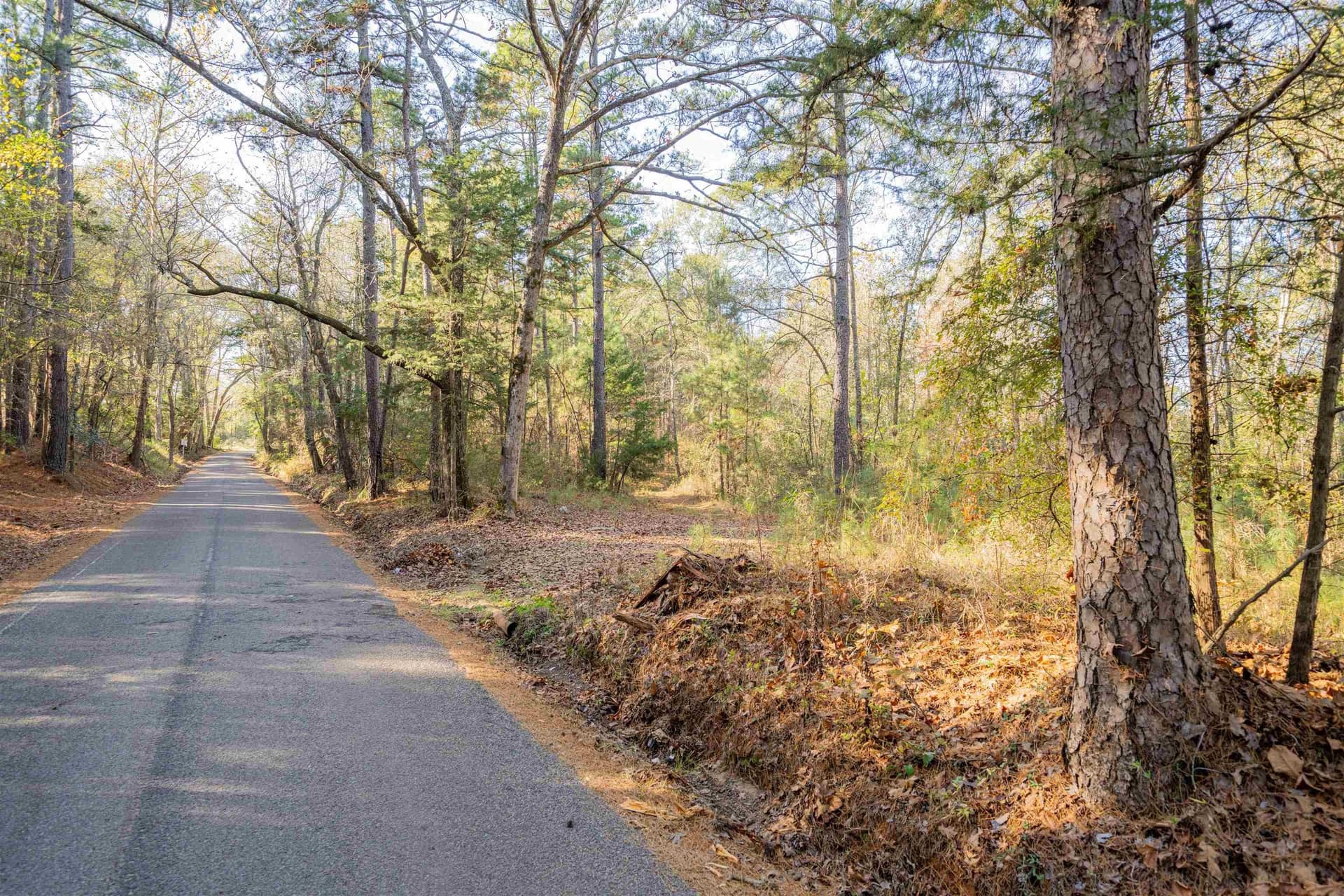 51.3 acres in Harrison County - photo 9
