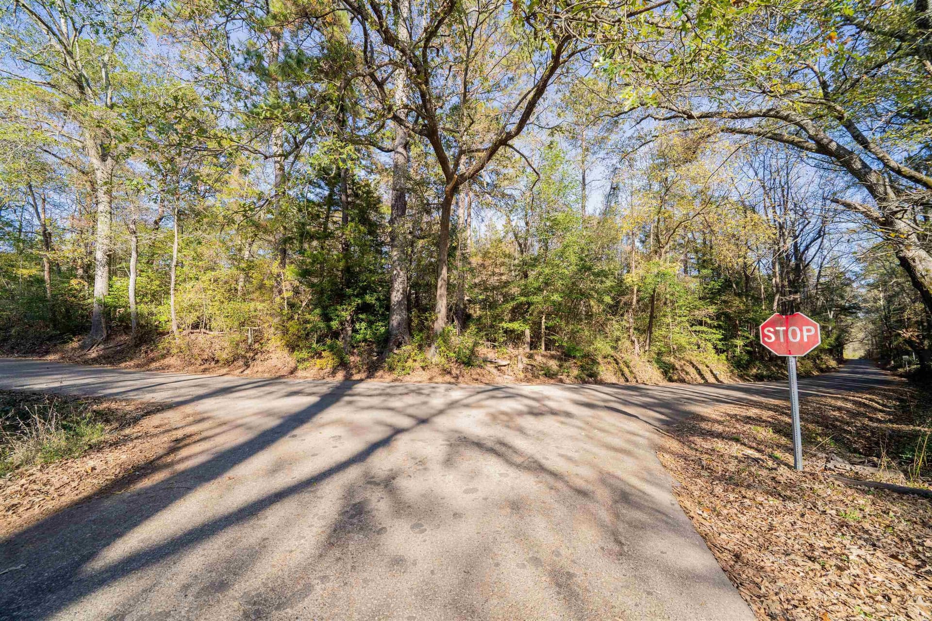 51.3 acres in Harrison County - photo 6