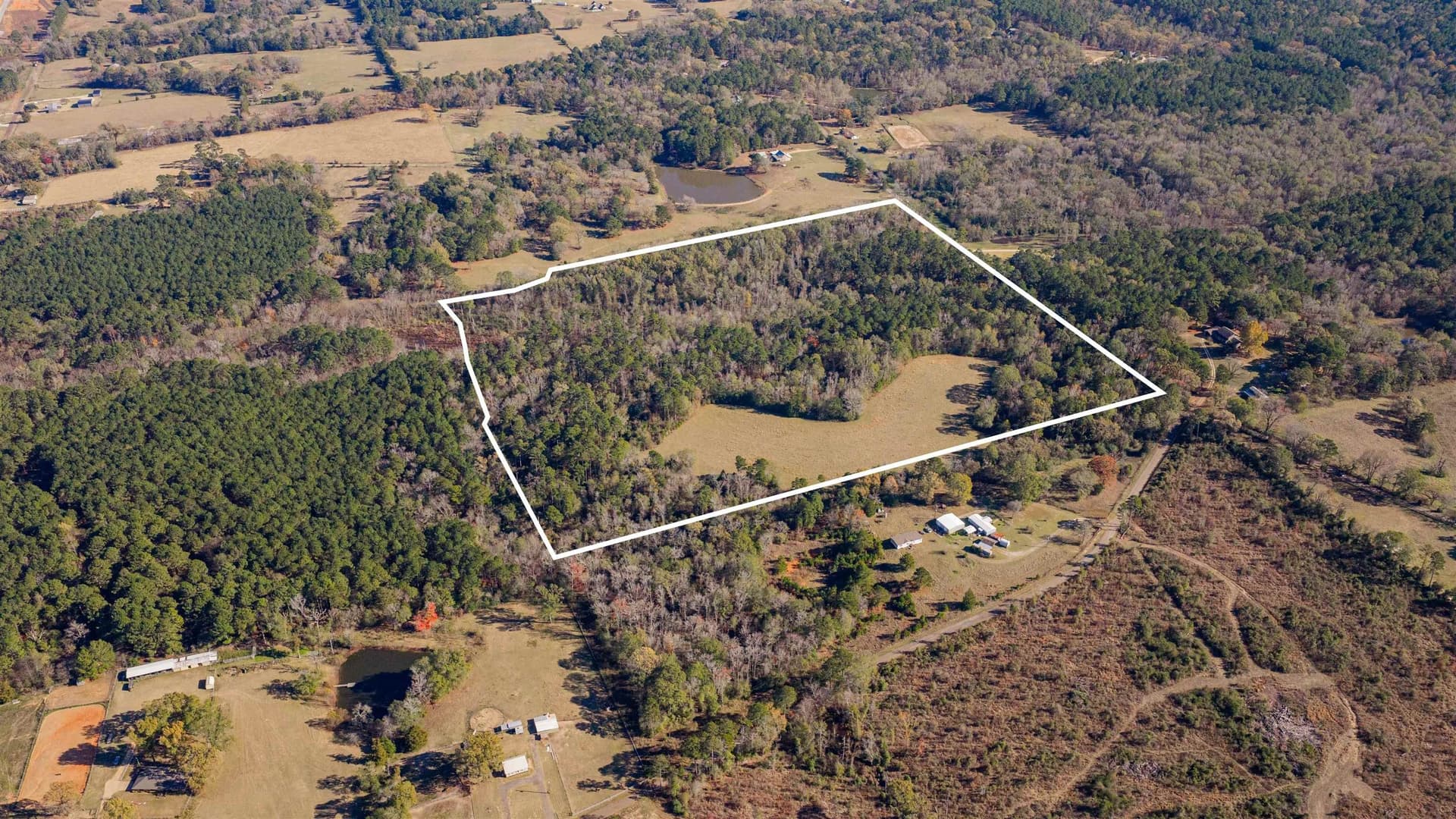 51.3 acres in Harrison County - photo 3