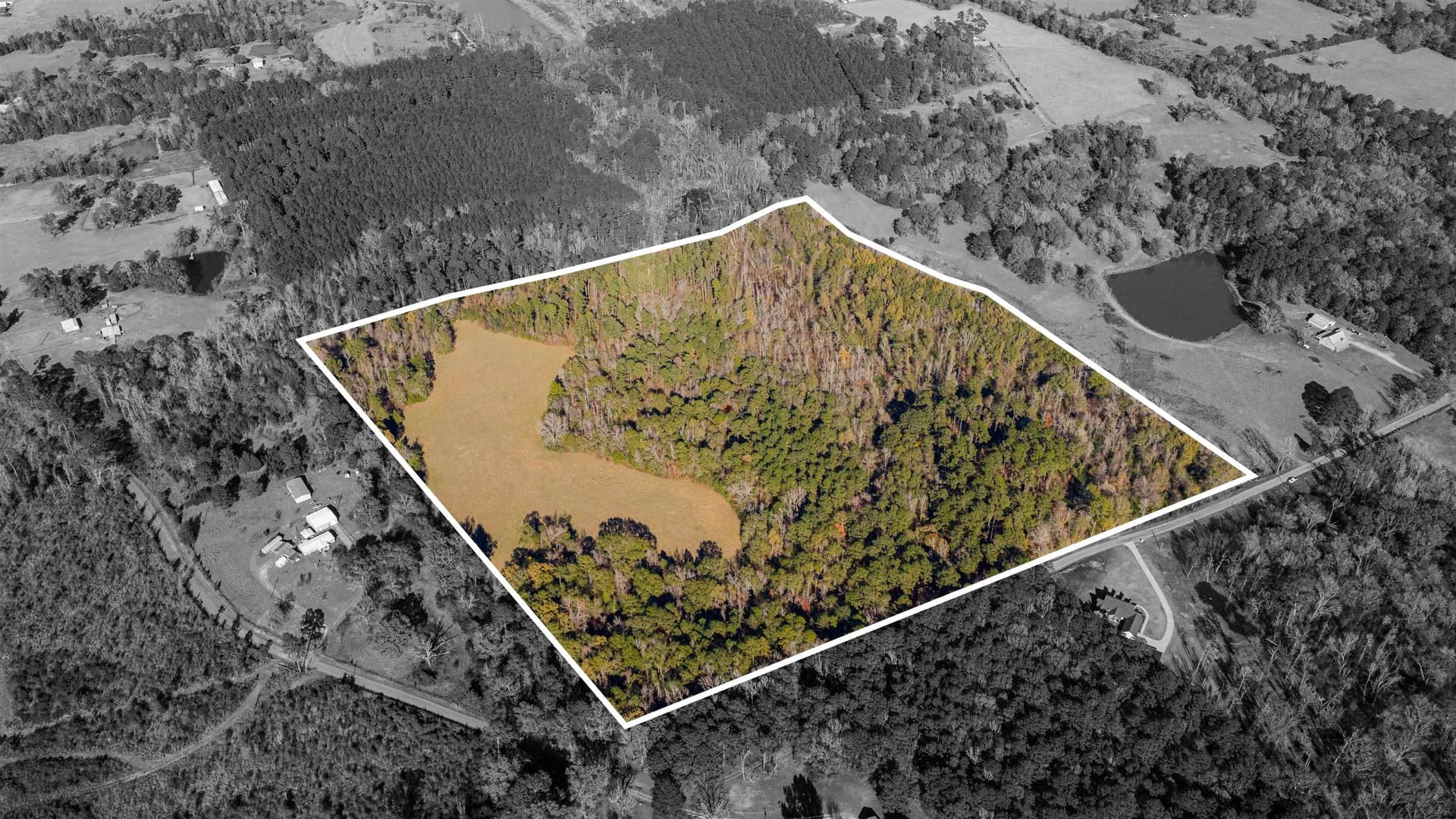 51.3 acres in Harrison County - photo 20