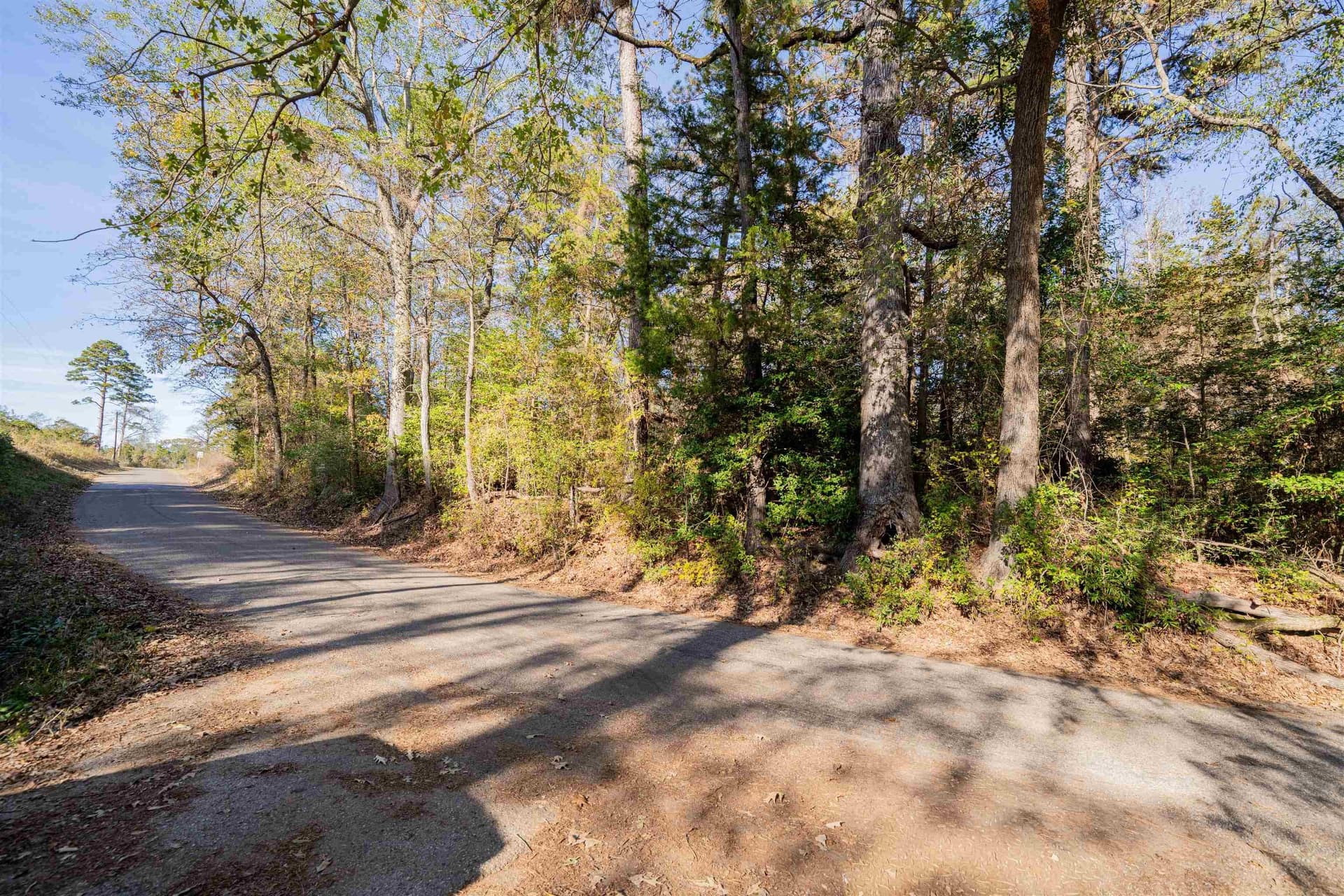 51.3 acres in Harrison County - photo 7
