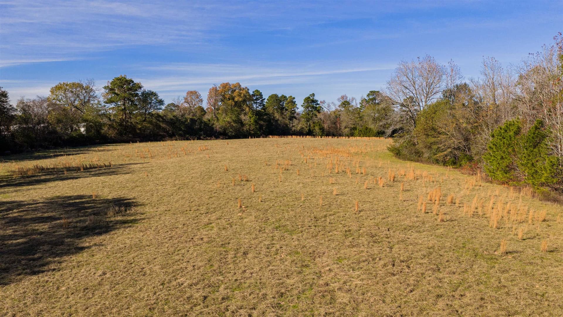 51.3 acres in Harrison County - photo 14