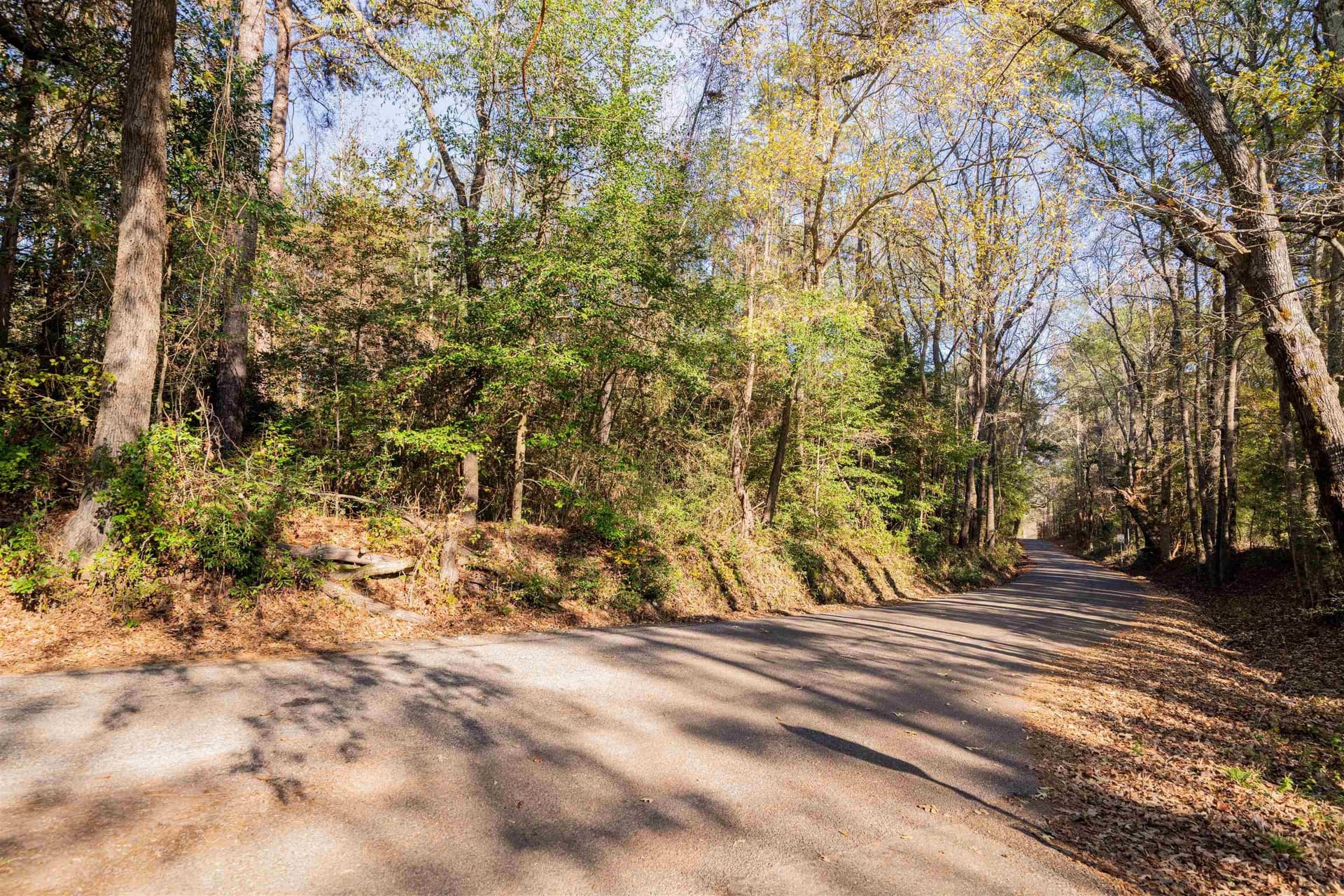 51.3 acres in Harrison County - photo 8