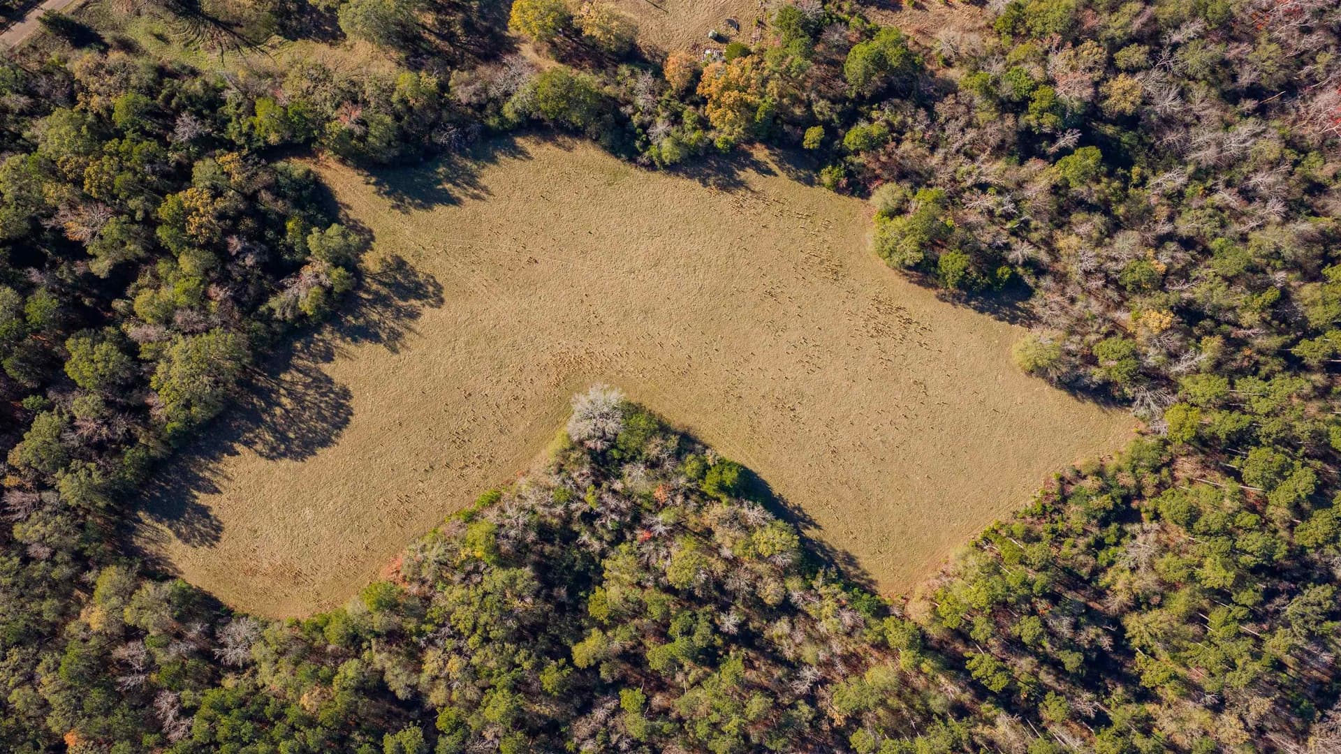 51.3 acres in Harrison County - photo 16