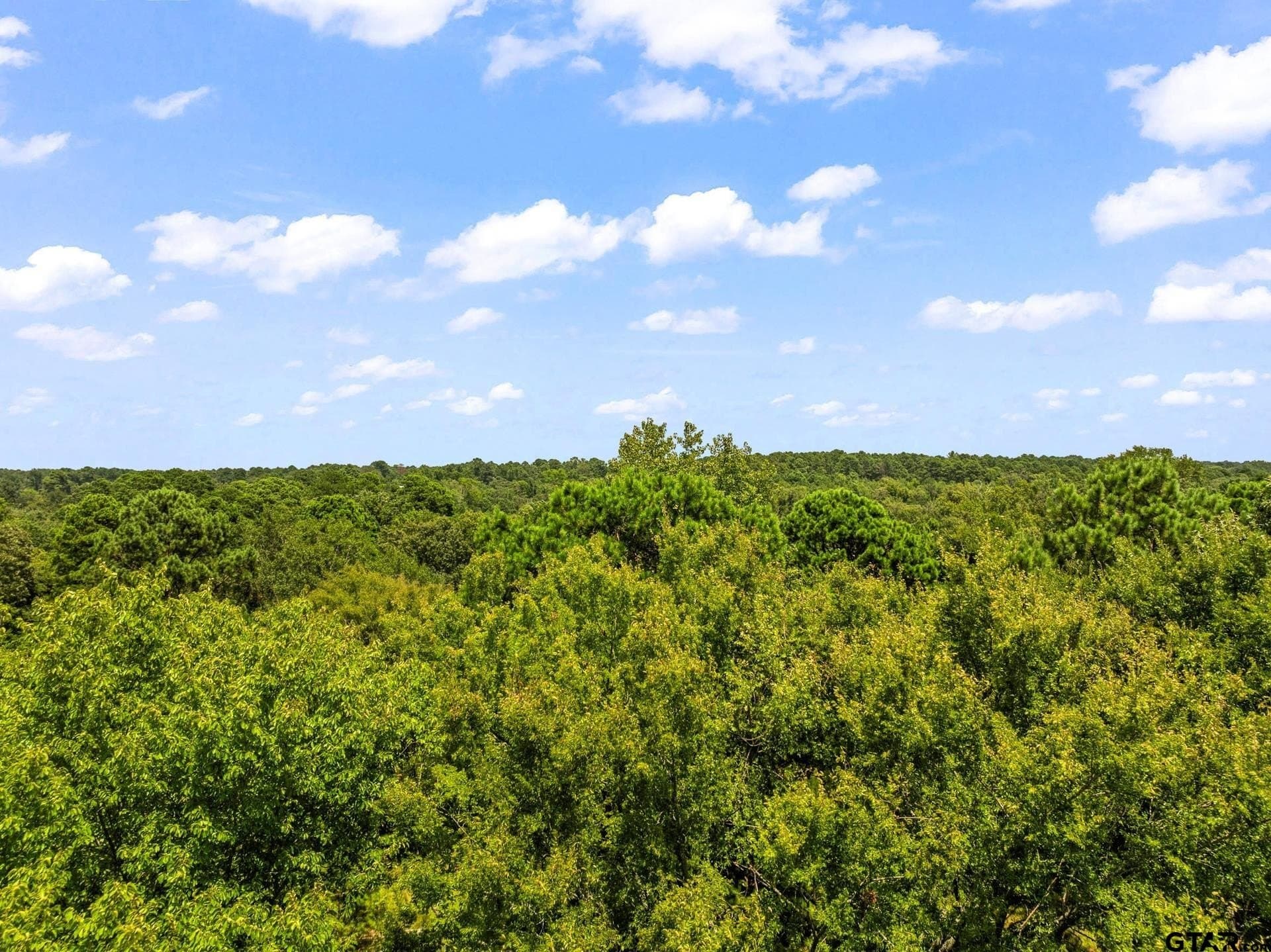 13.4 acres in Camp County - photo 18