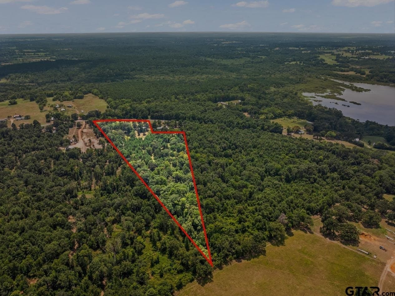 13.4 acres in Camp County - photo 22