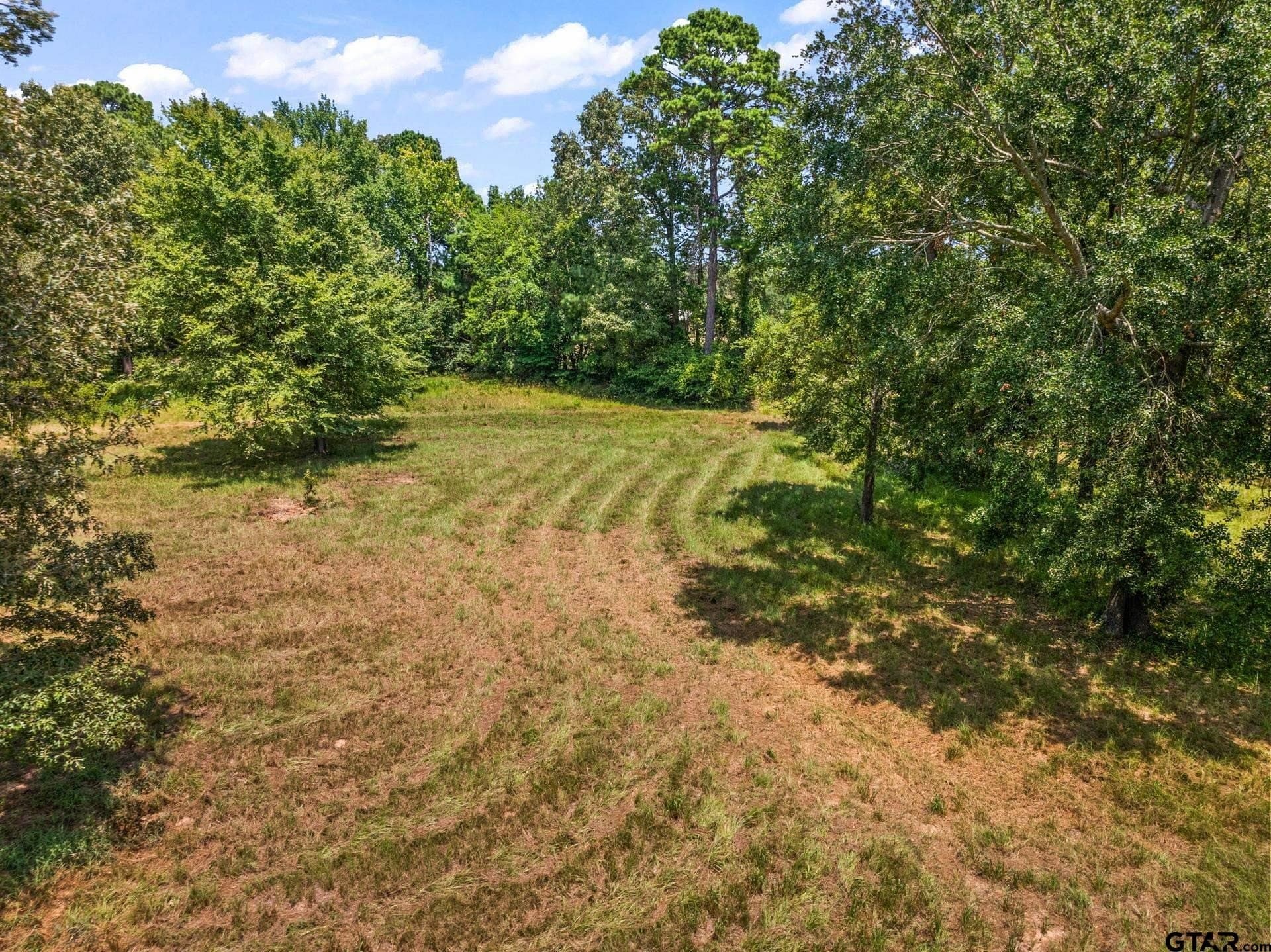 13.4 acres in Camp County - photo 13