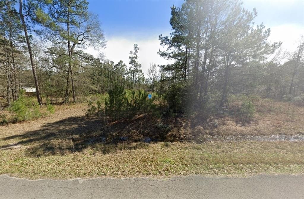 1.25 acres in Montgomery County - photo 2