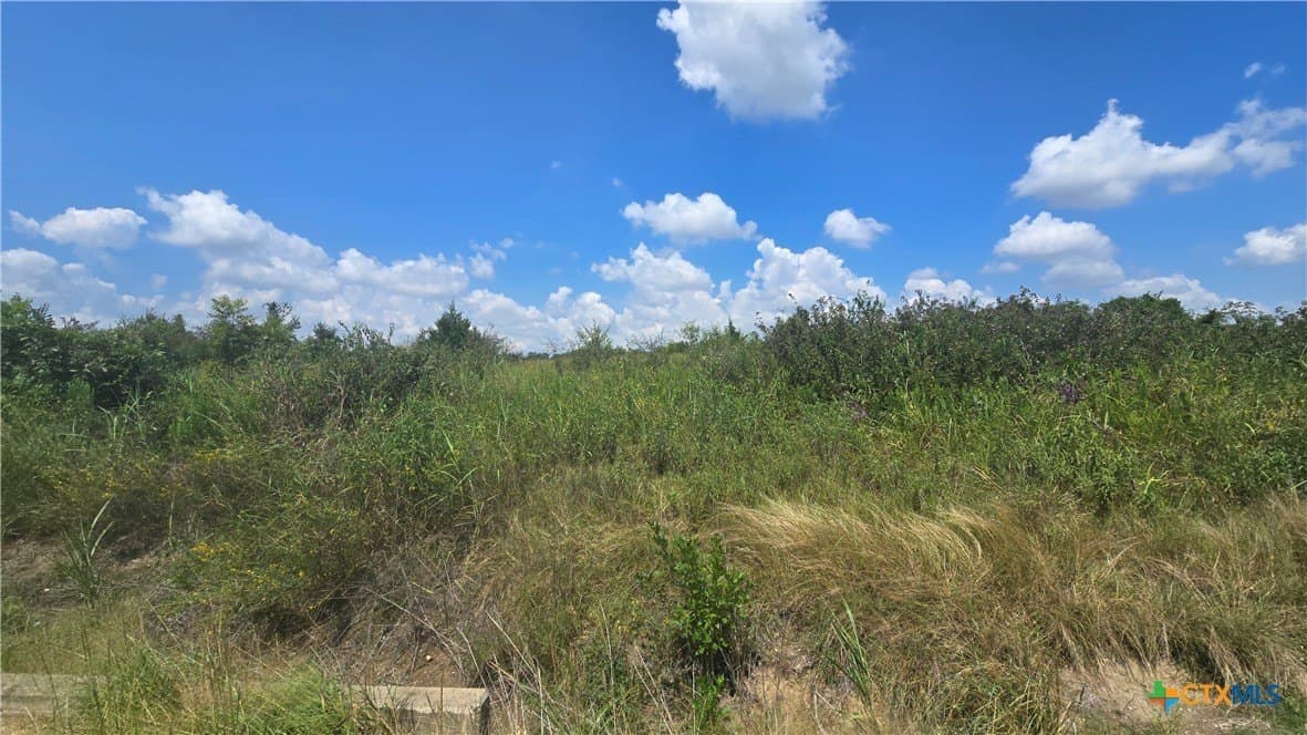 56.24 acres in Bell County - photo 11