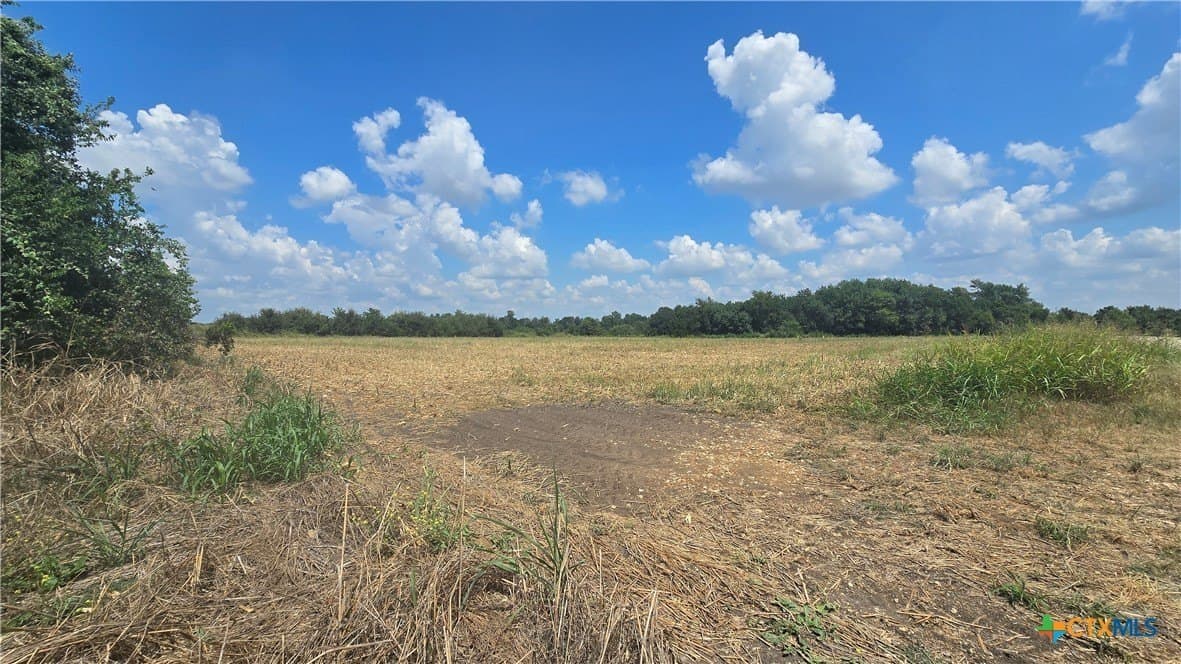 56.24 acres in Bell County - photo 10