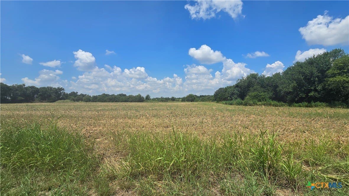 56.24 acres in Bell County - photo 9