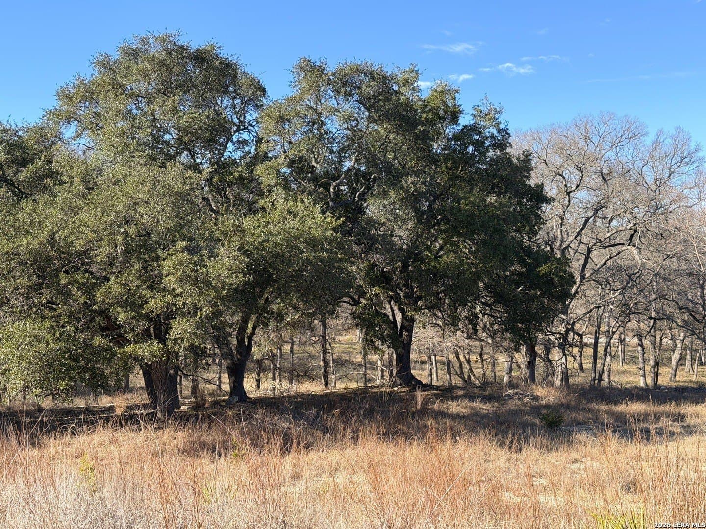 1.19 acres in Comal County - photo 10