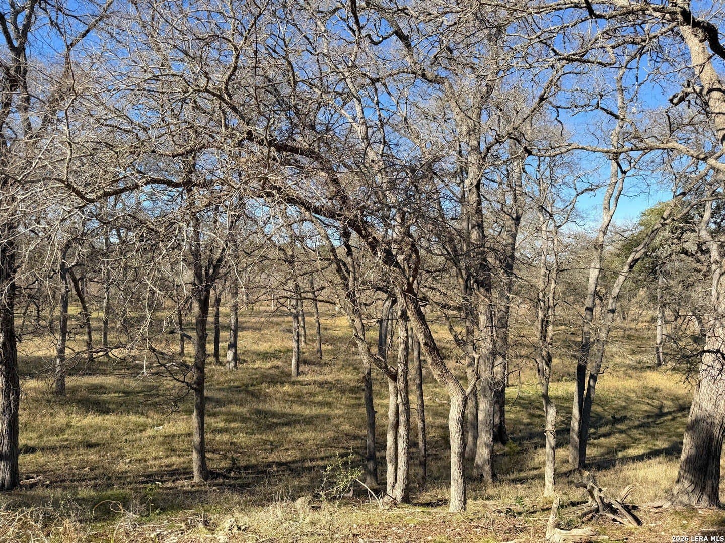 1.19 acres in Comal County - photo 15