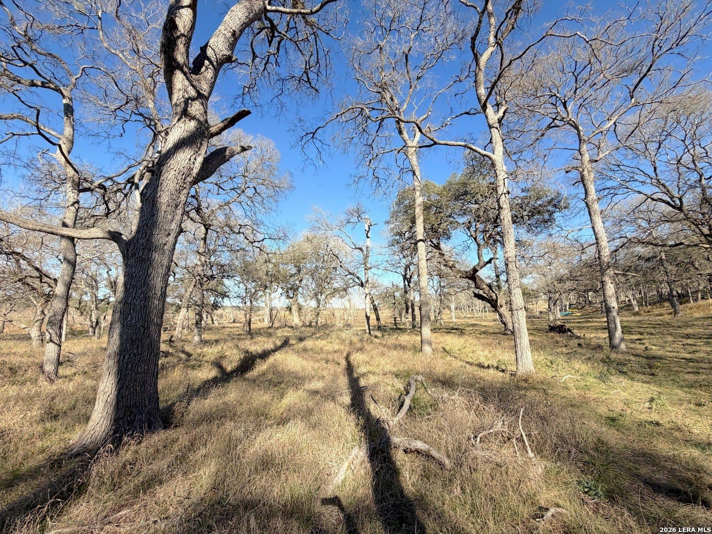 1.19 acres in Comal County - photo 8