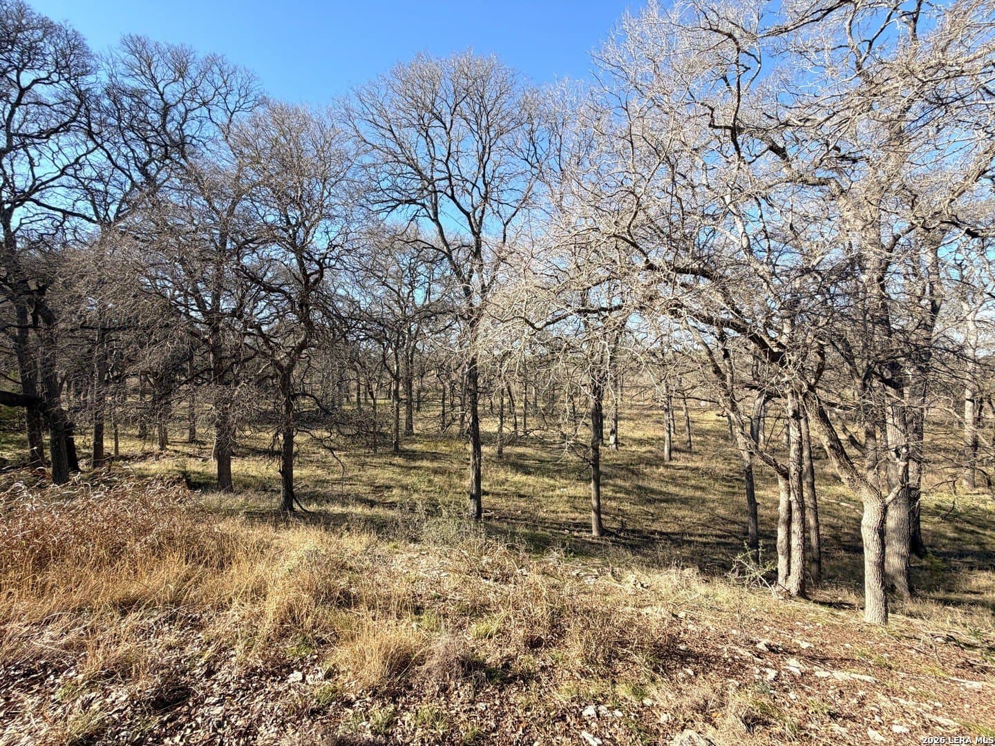 1.19 acres in Comal County - photo 13