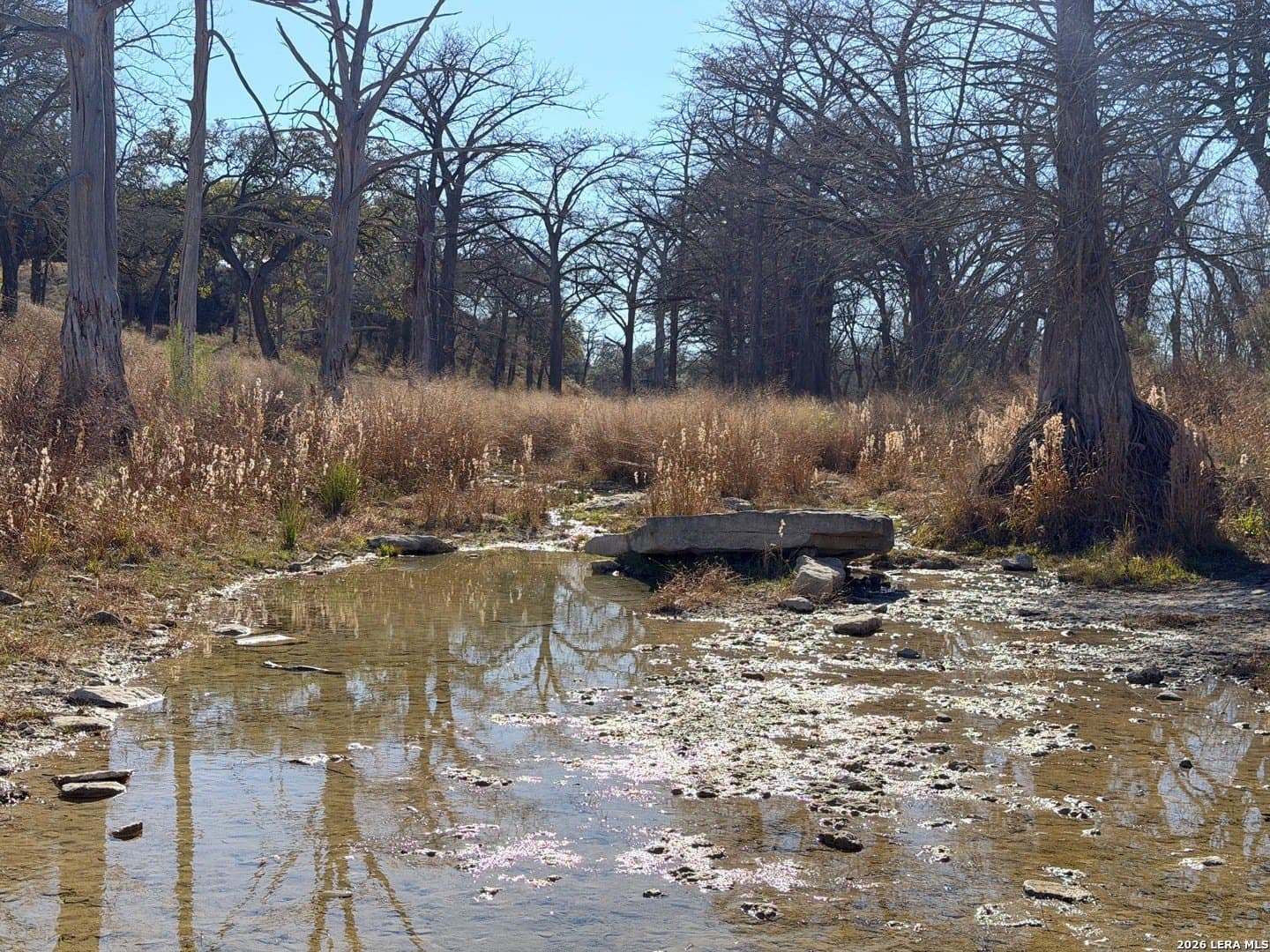 1.19 acres in Comal County - photo 11