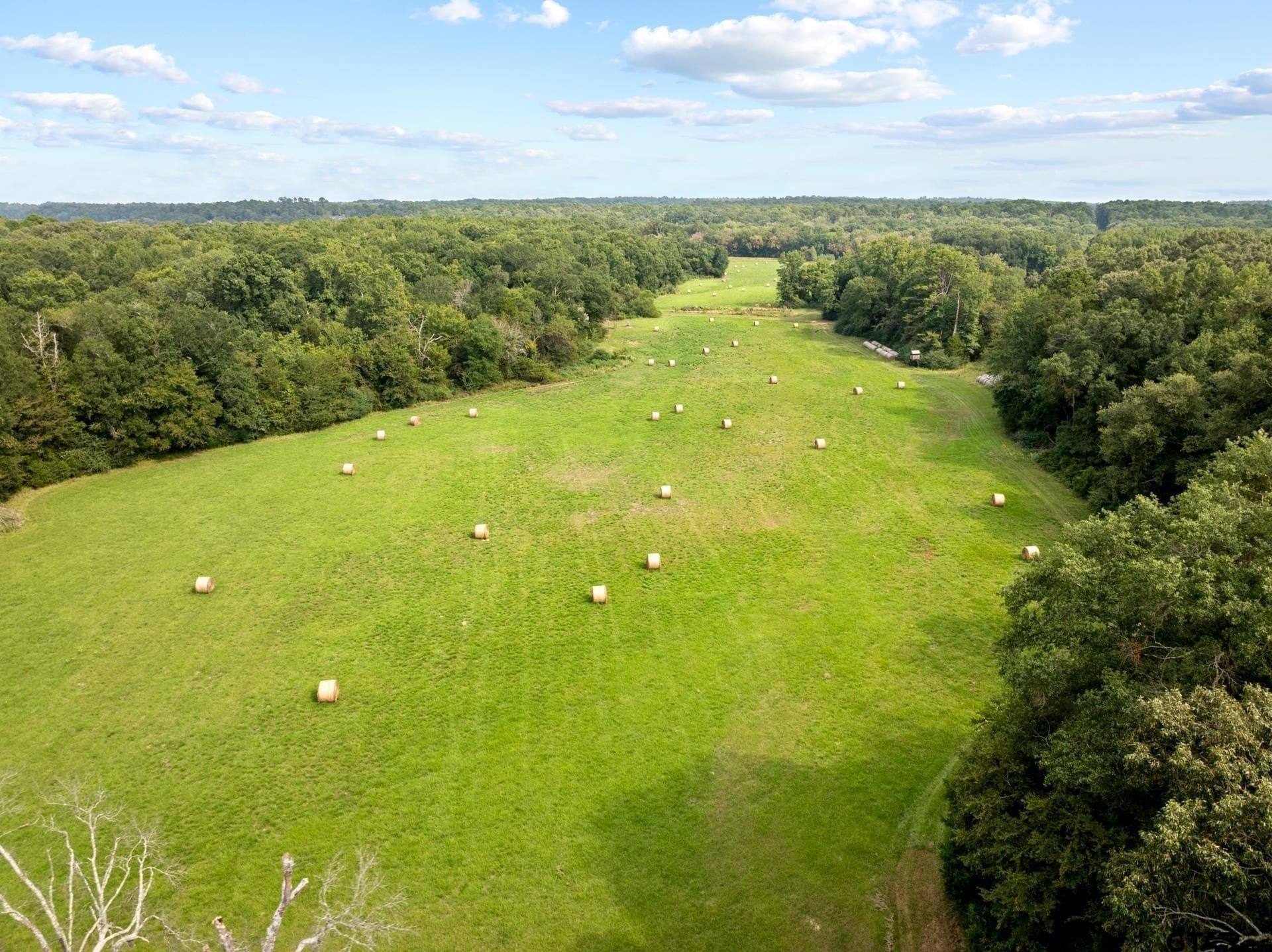 95.25 acres in Franklin County - photo 37