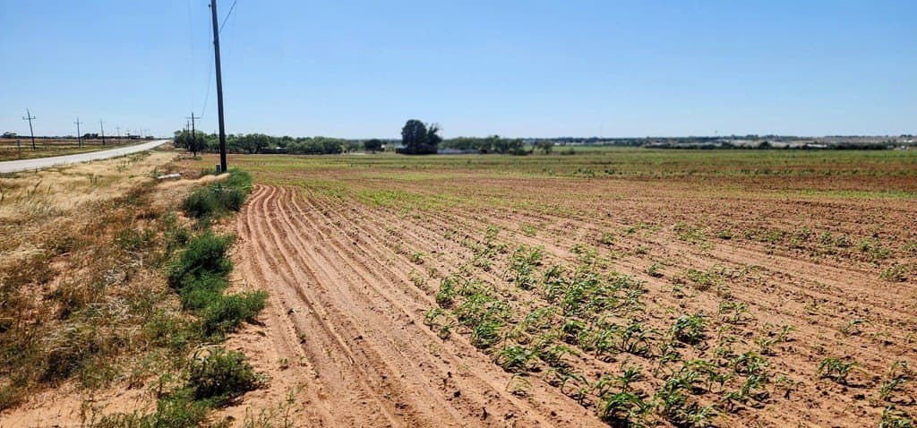 228.32 acres in Mitchell County - photo 6