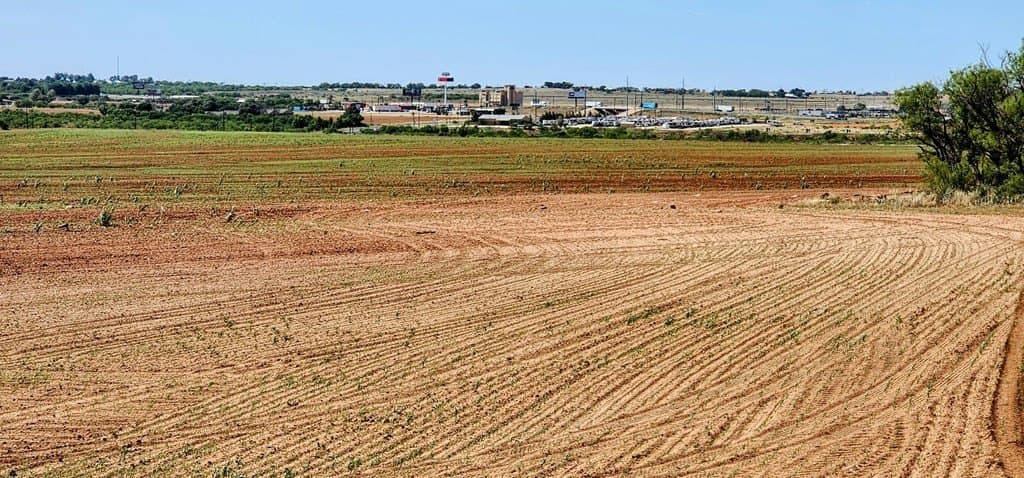 228.32 acres in Mitchell County - photo 5