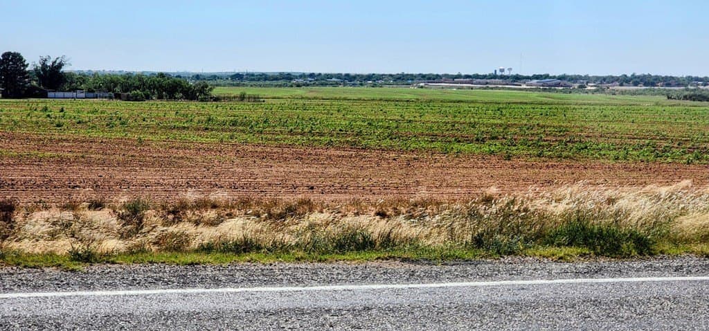 228.32 acres in Mitchell County - photo 8