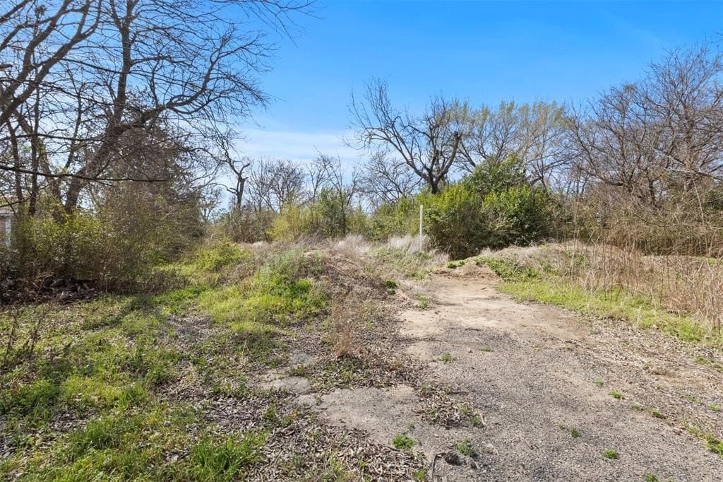 0.44 acres in Dallas County - photo 2
