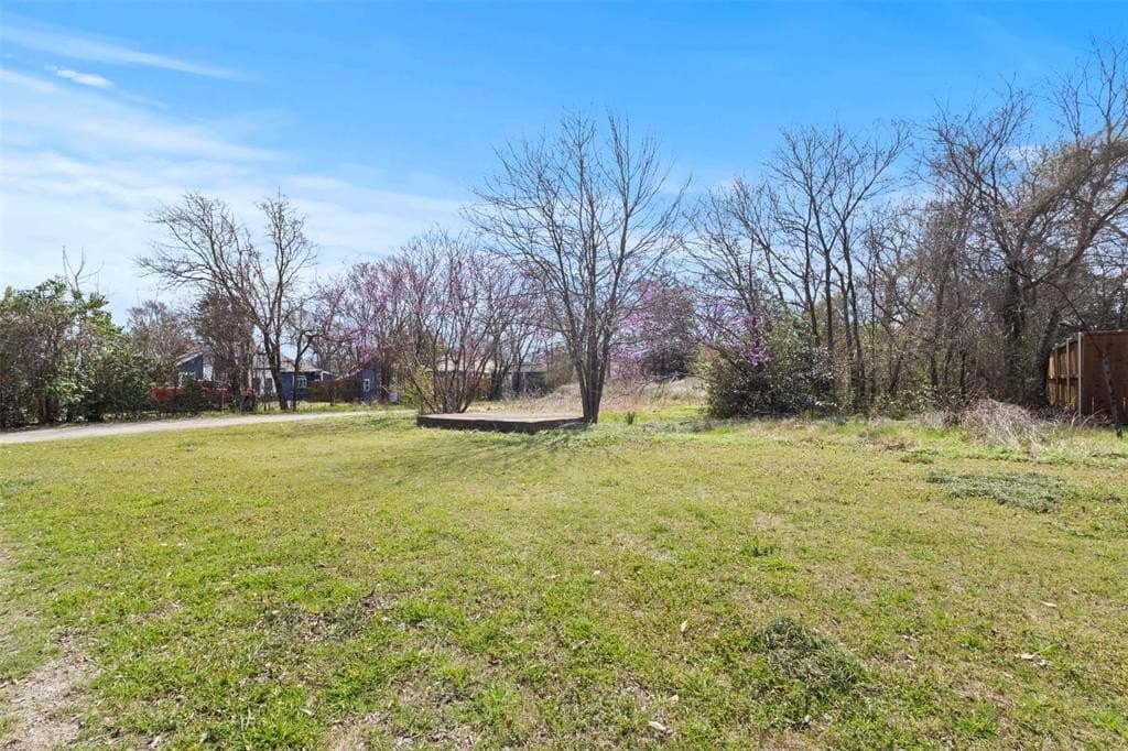 0.44 acres in Dallas County - photo 5