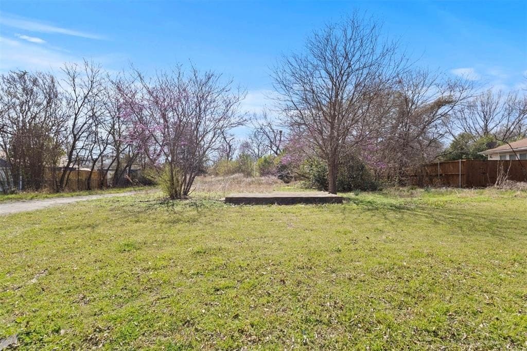 0.44 acres in Dallas County - photo 3