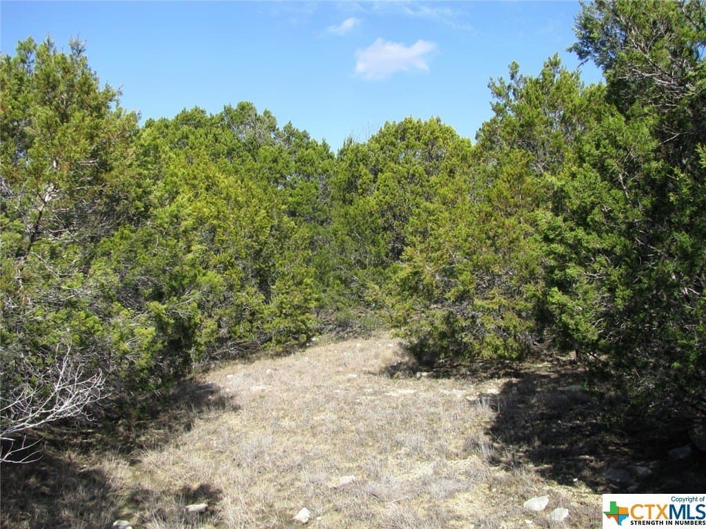 16.5 acres in Hamilton County - photo 20