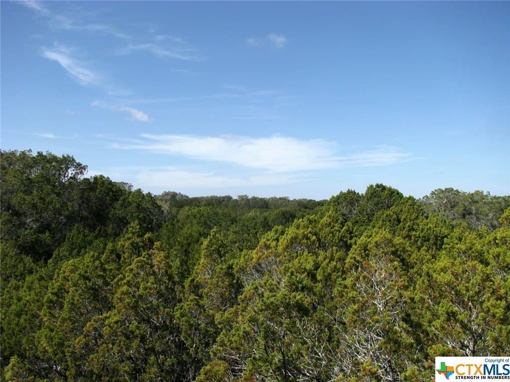 16.5 acres in Hamilton County - photo 4