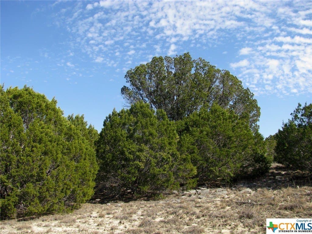 16.5 acres in Hamilton County - photo 24