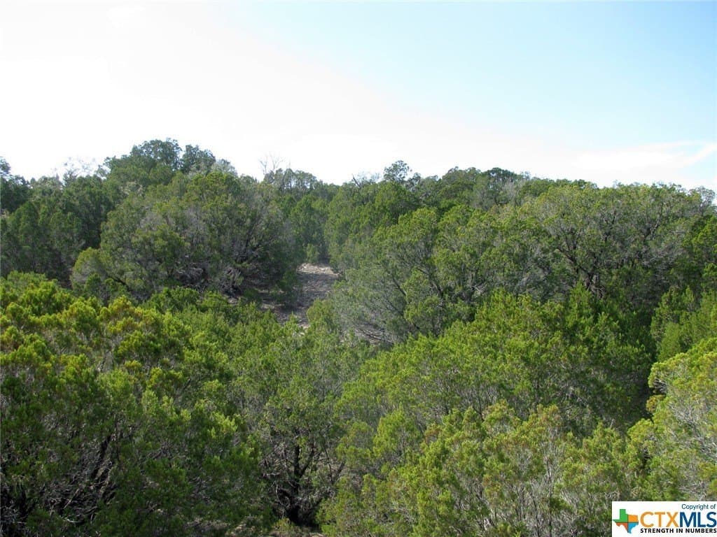 16.5 acres in Hamilton County - photo 19