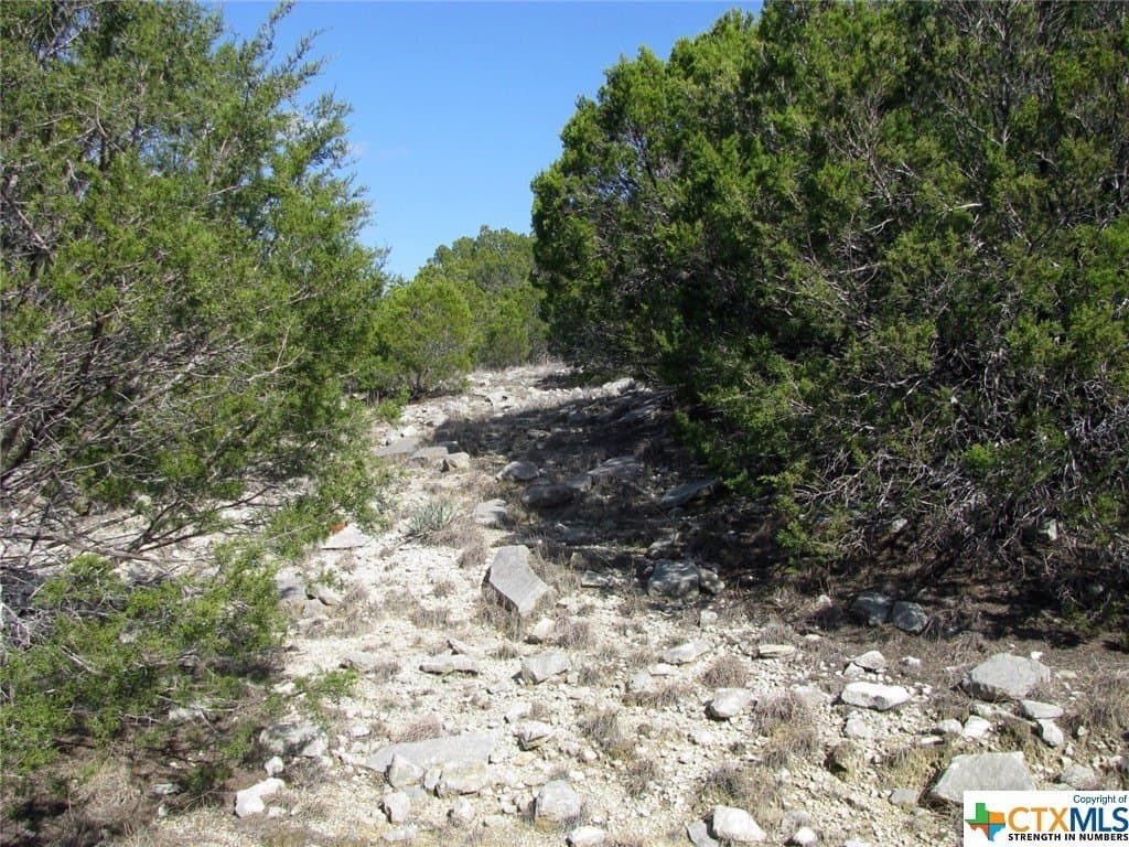 16.5 acres in Hamilton County - photo 6