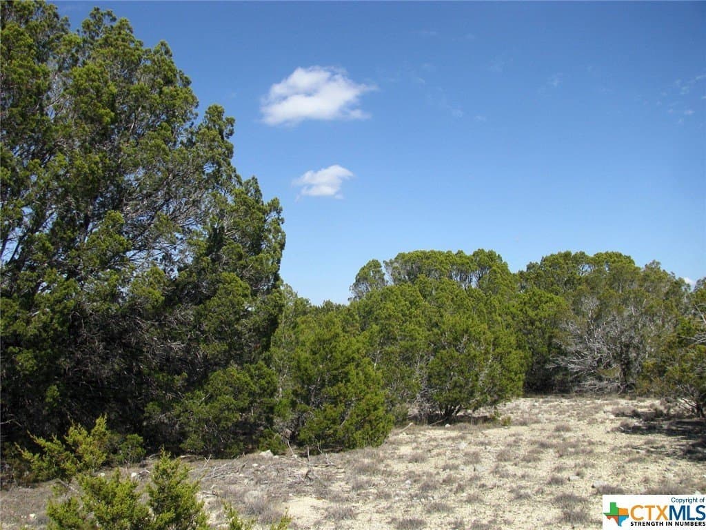 16.5 acres in Hamilton County - photo 25