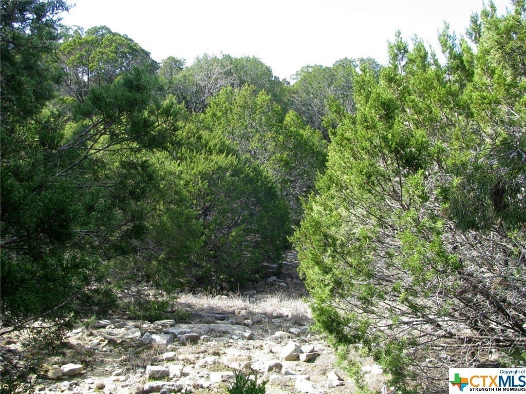 16.5 acres in Hamilton County - photo 12