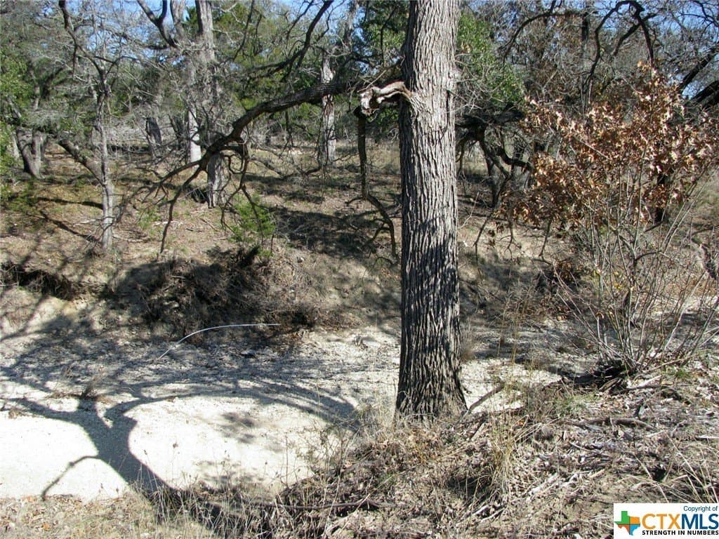 16.5 acres in Hamilton County - photo 7