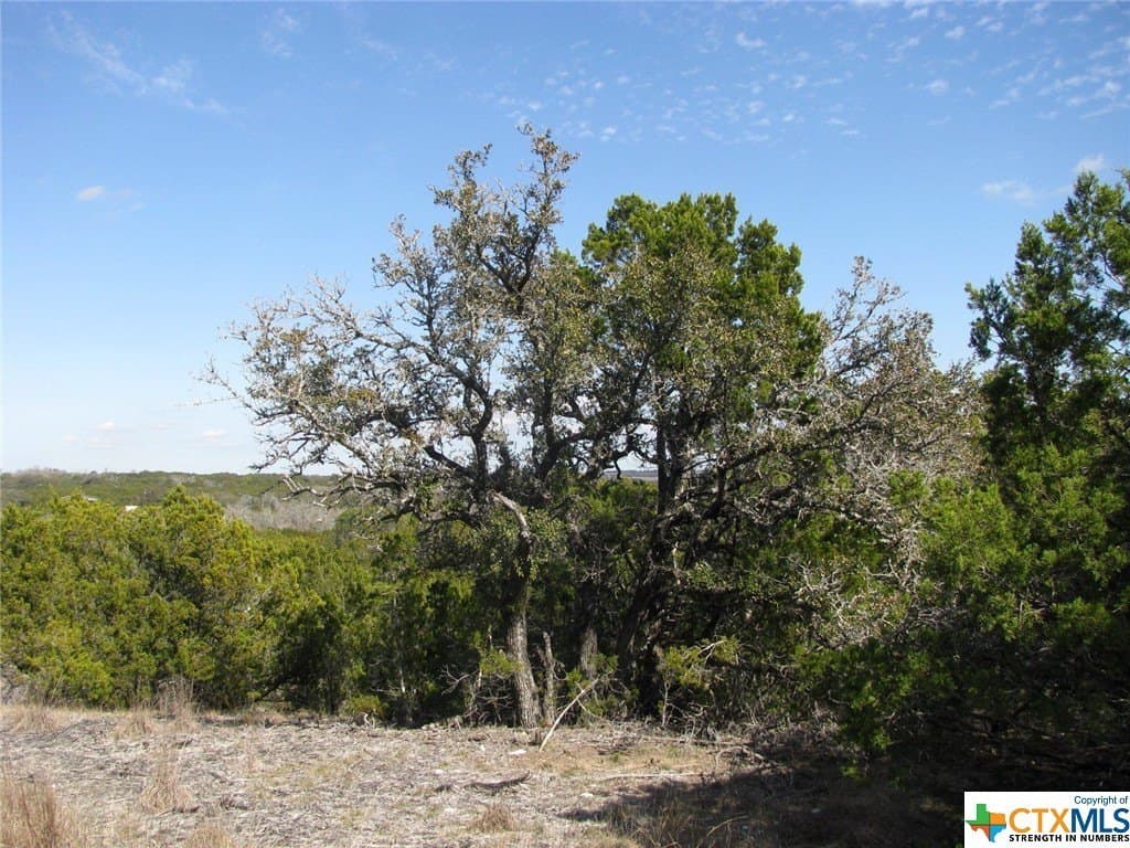 16.5 acres in Hamilton County - photo 22