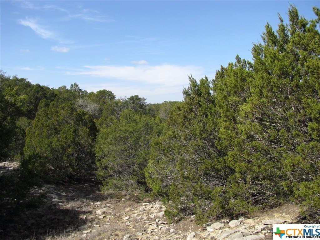 16.5 acres in Hamilton County - photo 13