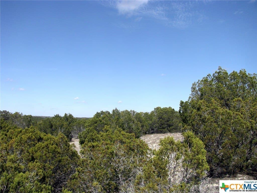 16.5 acres in Hamilton County - photo 15