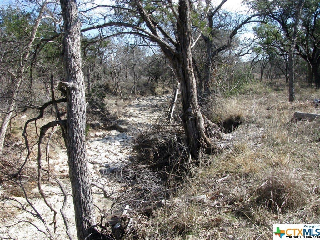 16.5 acres in Hamilton County - photo 8
