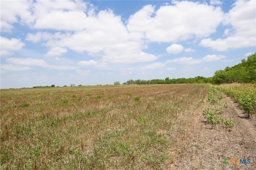 87.1 acres in Guadalupe County - photo 6